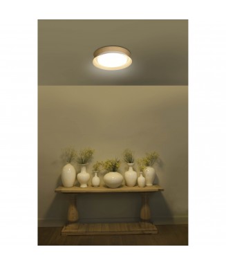 Tender 20095 White/Wood 24W LED/ Laevalgusti