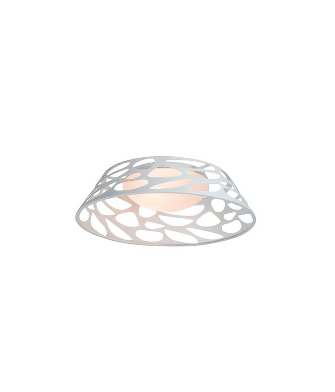 17014 Ceiling Light / Laevalgusti