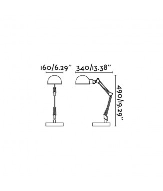 Baobab Black 51909