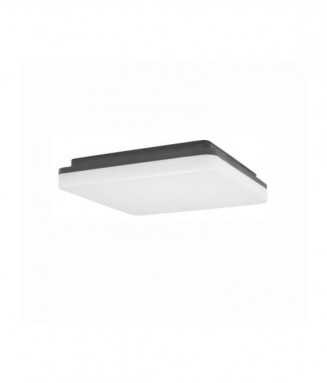 Tommy Square 30W LED IP54/ Laevalgusti