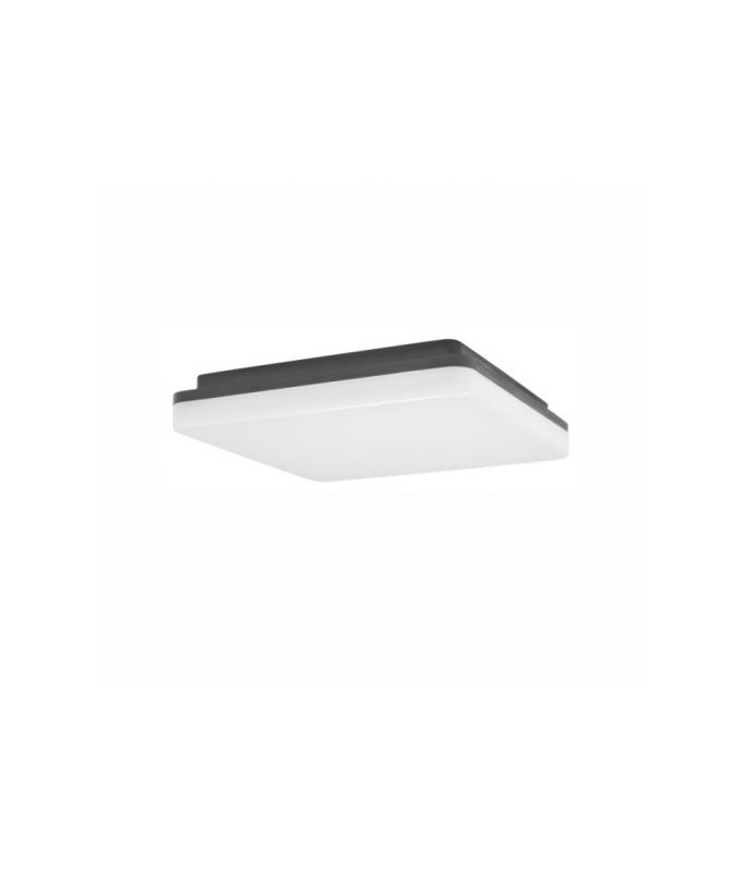 Tommy Square 30W LED IP54/ Laevalgusti