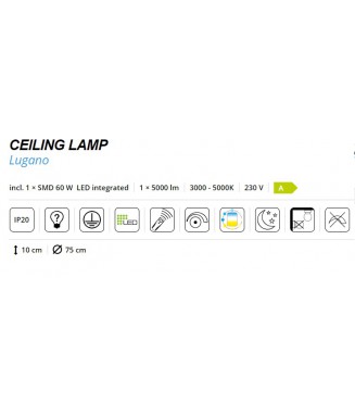 Lugano Grey Ceiling D-75 55W LED