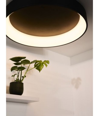 Talowe Ceiling Black 80W LED , D-80cm/ Laevalgusti